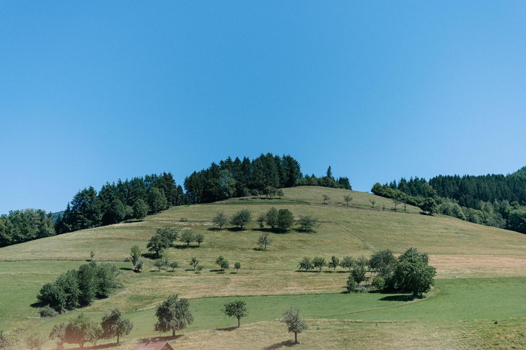 Moderne 2 Zi.-Fewo Blackforest Art Barrierefrei Naehe Freiburg Simonswald Dış mekan fotoğraf