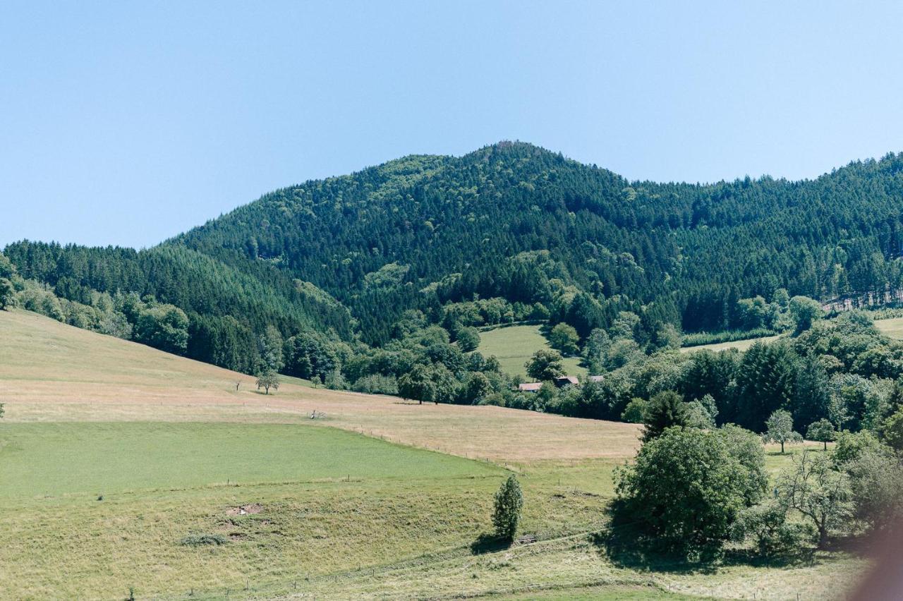 Moderne 2 Zi.-Fewo Blackforest Art Barrierefrei Naehe Freiburg Simonswald Dış mekan fotoğraf